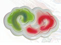 Ŵ