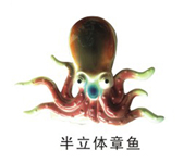 Ŵ