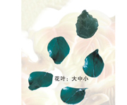 Ŵ